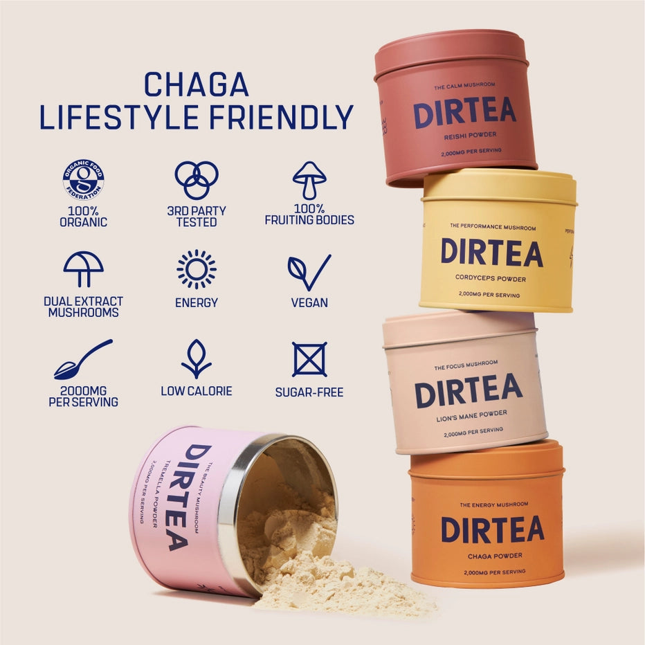 Chaga - Energy Mushroom Powder